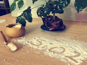 Precipitated Silica For Feed Additve